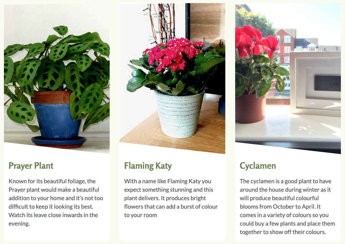 search results for houseyourplants